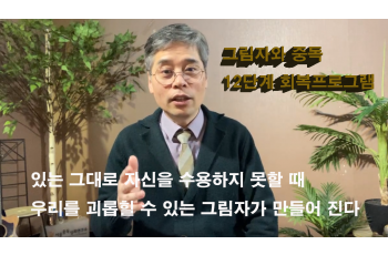 그림자와 중독 그리고 12단계 회복 프로그램